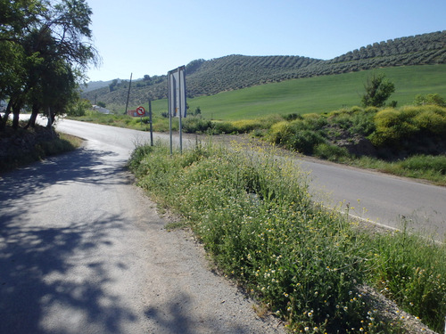On the road to Montefr&iacute;o.